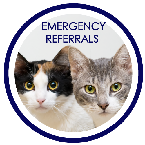 EMERGENCY REFERRALS